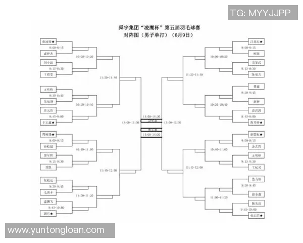 深圳羽毛球队总决赛个人能力分析与表现评估