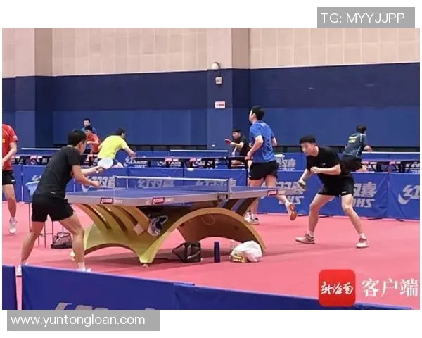 深圳乒乓球队攻防新策略探索与实践的深度分析与展望