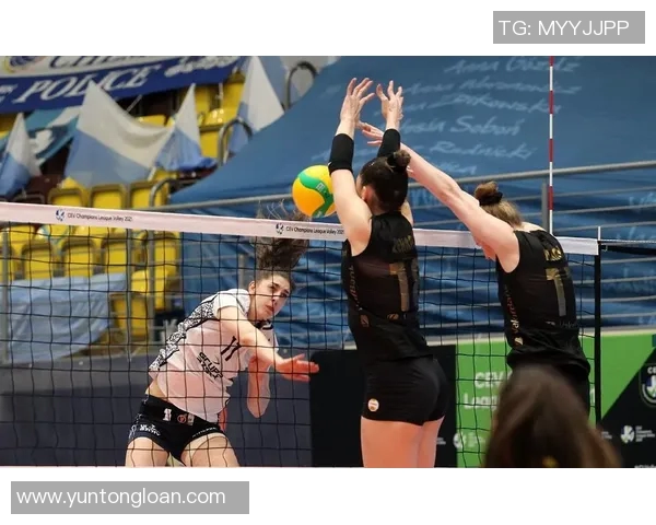 北京排球队选拔赛特别报道：从艰辛历程到辉煌突破的成长之路