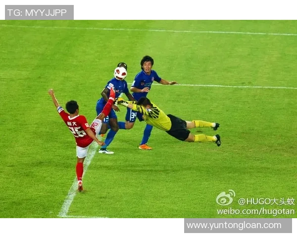 广州排球队状态引发热议球迷对球队表现褒贬不一