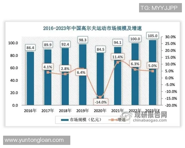 武汉足球队比赛经验深度解析与未来发展展望