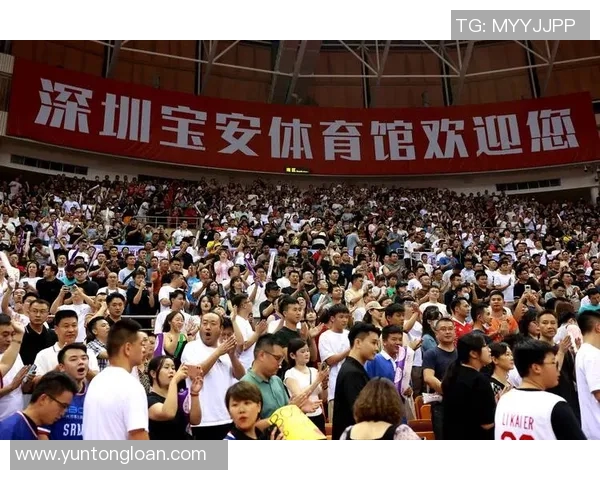 深圳排球队技术创新引领排球新潮流全新排名震撼发布